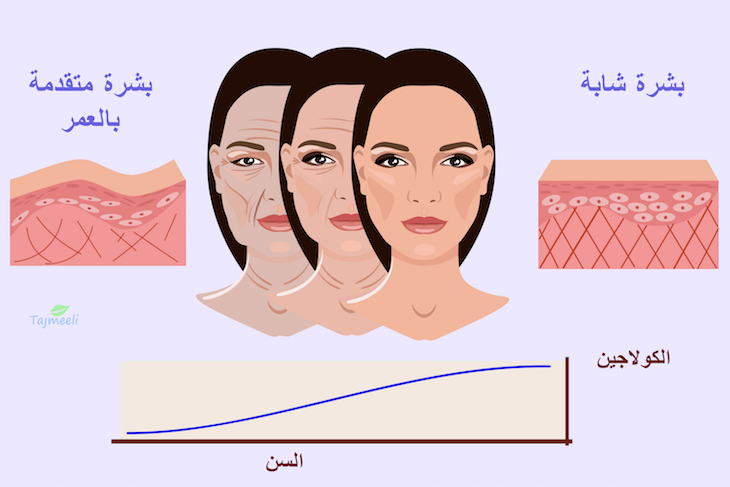 ما هو الفرق بين البروفايلو والفيلر؟